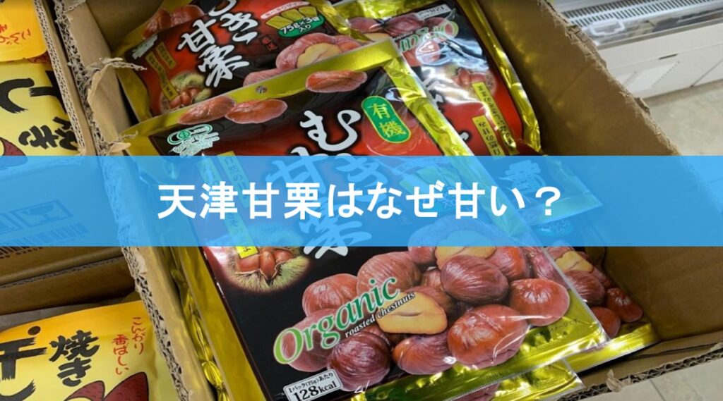 天津甘栗はなぜ甘い？
